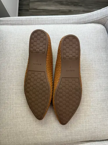 Birdies Goldfinch Pointed Toe Ballet Flat in Tan