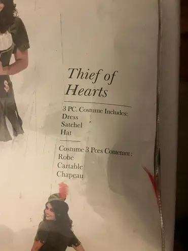 Leg Avenue Women’s Robinhood Thief Of Hearts costume Size 3x Plus Size