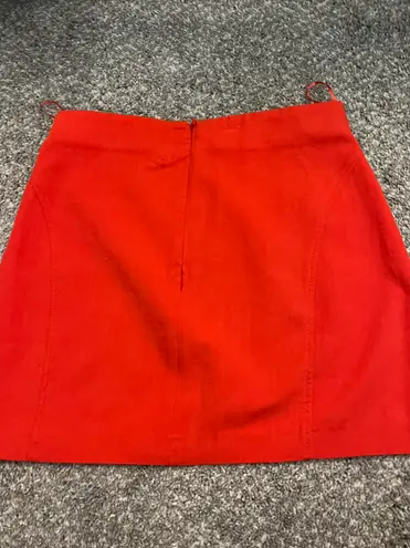 ZARA Skirt