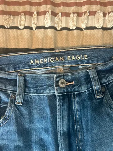 American Eagle Low Rise Baggy Flare Jeans