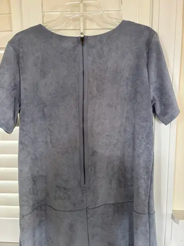 Bishop and Young Suede Dress