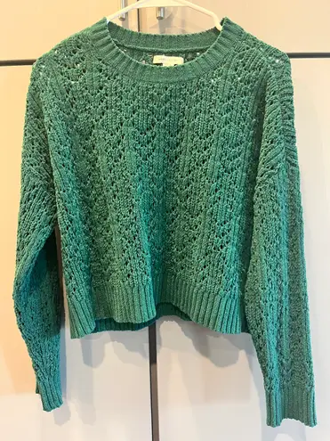 American Eagle Outfitters Knit Green Sweater