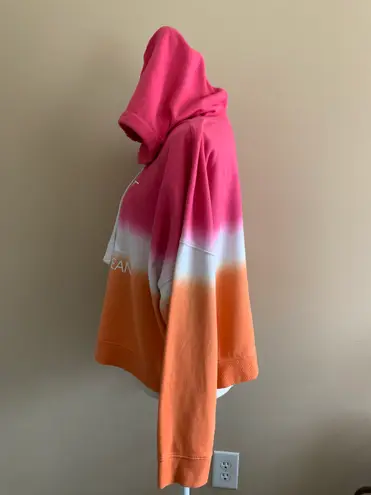 Calvin Klein Jeans Pink And Orange Ombré Hoodie Sweatshirt 