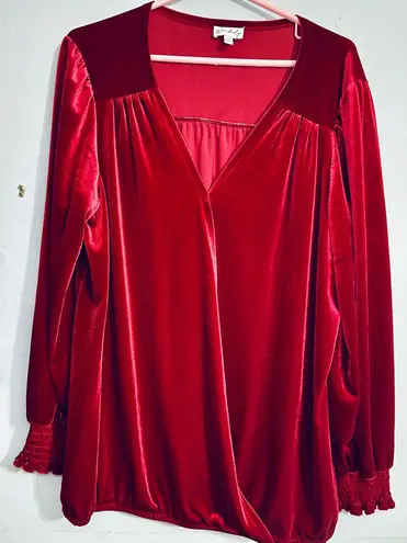 Wonderly Wine Red Velour Peasant Blouse V Neck Stretchy Comfort