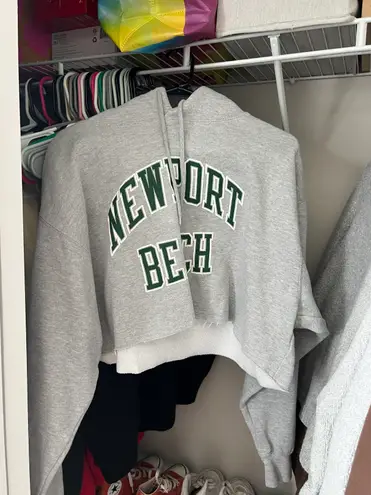 Brandy Melville John Galt Cropped Gray Newport Beach Hoodie