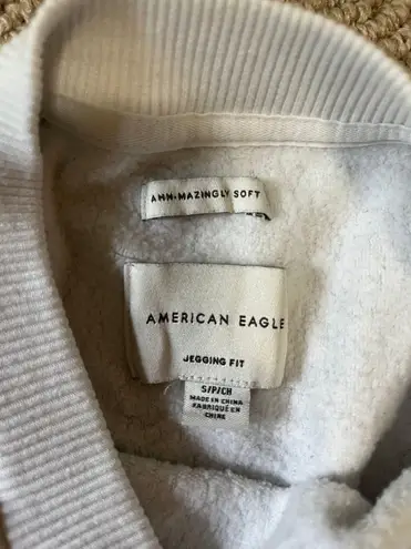 American Eagle Outfitters Oversized Crewneck