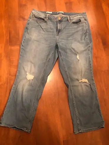 Vigoss Woman’s  Play Sized Jeans