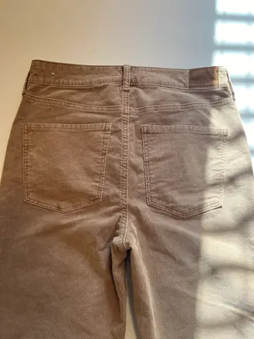 American Eagle Super Hi-Rise Flare Corduroy Buttonfly Pants Size 6