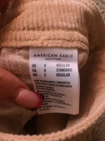 American Eagle Outfitters Cargo Pants