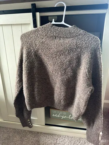 Francesca's Brown Sweater