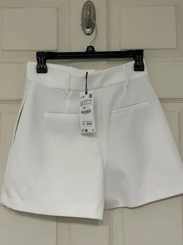 ZARA High Waisted Pleated Shorts