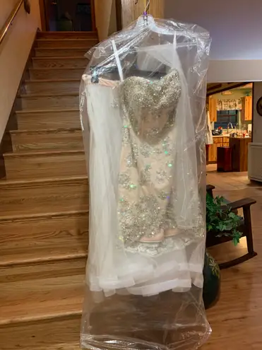 Beaded Lace Bodycon Strapless Dress with Train Tan Size 0