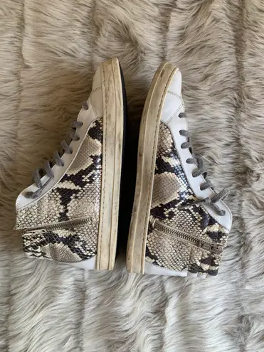P448 Skate High Top Sneaker Snakeskin Python Print SIZE 41