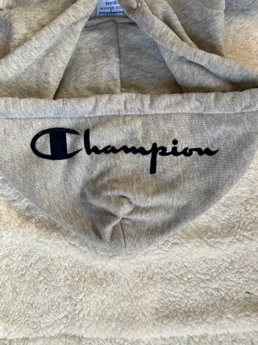 Champion Gray Cropped Hoodie