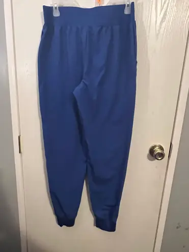 Hanes Blue Scrub Pants