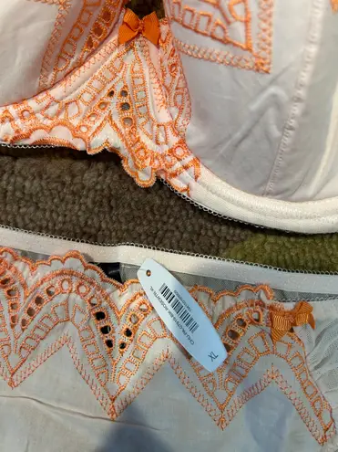 Adore Me NWT  The Carelle Demi Contour Bra Bikini Panties Matching Set 36C XL - Image 2