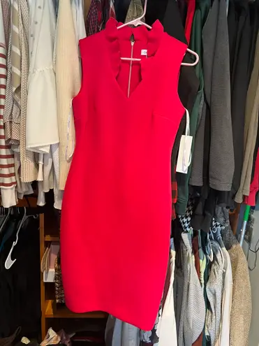 Calvin Klein Jeans Hot Pink Straight Formal Dress