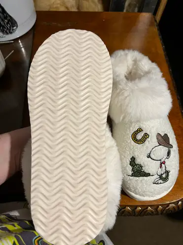 American Eagle Snoopy Slippers