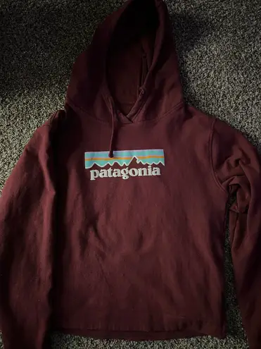 Patagonia sweatshirt