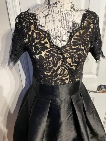 Lucy Wang Fay Eyelash Lace Taffeta Pleated Skater structured skirt Short Sleeve V-Neck Dress Sz XL