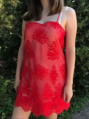 Show Me Your Mumu Vibrant Red  Risque Mesh & Embroidered Lace Slip Dress