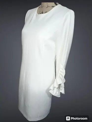 Katherine Barclay NWT Hilary Radley for Woven Ruffle Sleeve Lined Dress $168