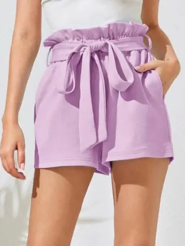 Boutique NEW Paper Bag Shorts