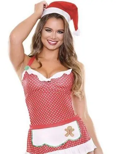Plus Size Fantasy Lingerie Christmas Theme Mrs. Santa Clause Red