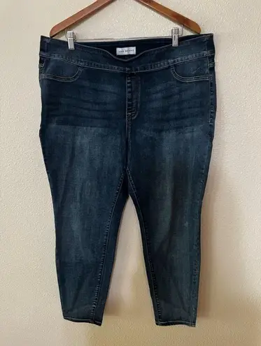 Lane Bryant  Flex Magic Waistband Signature Fit High Rise Jegging Jeans 20 plus