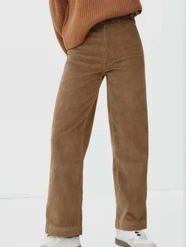 Everlane NWT  The Corduroy Wide-Leg Pant