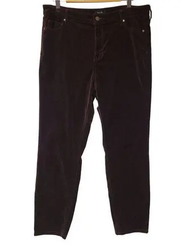 Well Worn High-Rise Luxe Velvet Tapered Pant Dark Wine Fall Winter Whimsigoth Womens 14/34