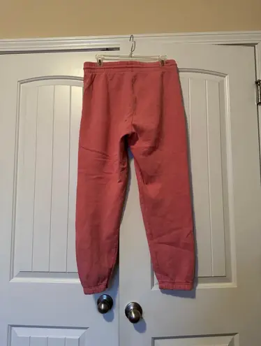 Aritzia Tna Cozy Fleece Perfect Sweatpants