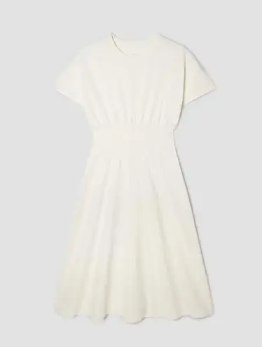 Everlane  The Organic Cotton Waisted Dress in Canvas M NWT