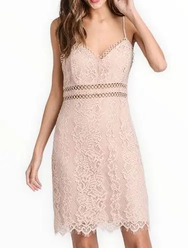 Storia  Blush Pink Lace Trim Dress Cami Straps Sheer Panels size Medium