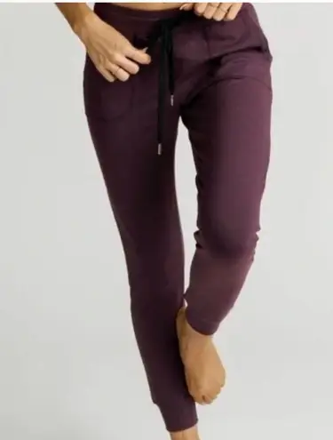 Zyia Active Plum Unwind Joggers