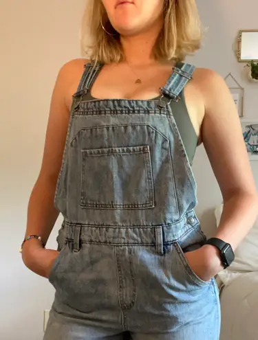 Wild Fable Denim Overalls