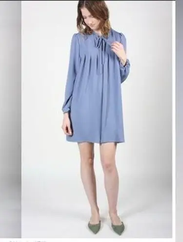 Women’s Medium Birds of North America duck dress in periwinkle Blue