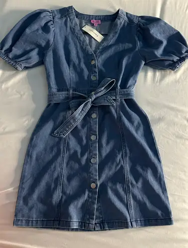 Francesca's Miami Francesca Denim Dress