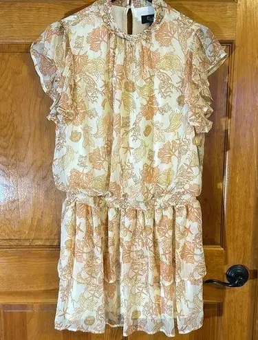 Rafaella Ella Women’s layered Dress size XLP-NWTS