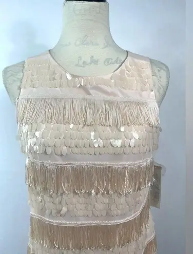 Eliza J Sequin and Fringe Blush Dress Size 8