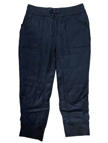 Pilcro Anthropologie Size L Mallory Utility Cargo Jogger Pants Blue Lyocell Size L