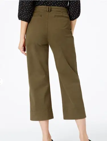 Garnet Hill Burned Orange Cropped Wide Leg Chinos Pants Women’s Sz 18