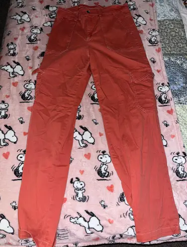 Wild Fable Wide Leg Salmon Cargos