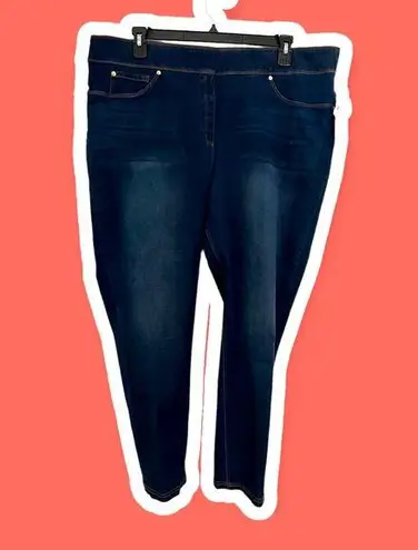 Investments SLIM FACTOR BY 3X (22/24) Classic Waist Denim Ankle Jeans