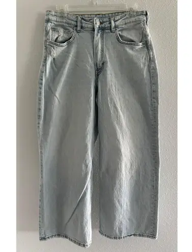 & Denim Jeans Womens Size 10 High Rise Wide Leg Crop Light Wash Denim Minimalist Blue