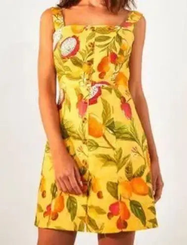 Farm Rio Fruit Lovers Linen Mini Dress XS