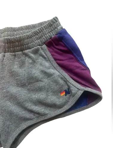 Aviator Nation Gray & Purple Sweat Shorts