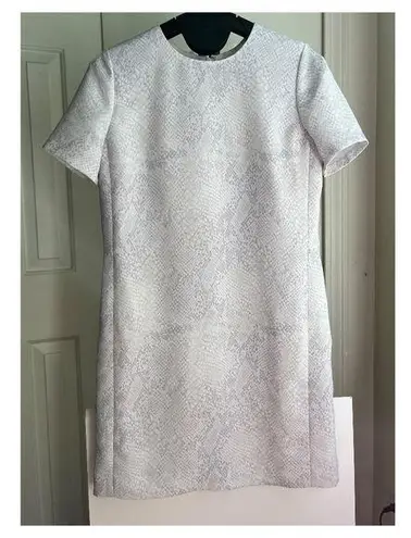 Babaton Aritzia Short Mini Lined Pearl Dress Short Sleeve Gray Print, Size XS S White
