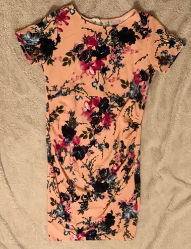 Pinkblush Pink Floral Fitted Maternity Dress