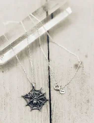 Spider Web Sterling Silver Spider Necklace Silver